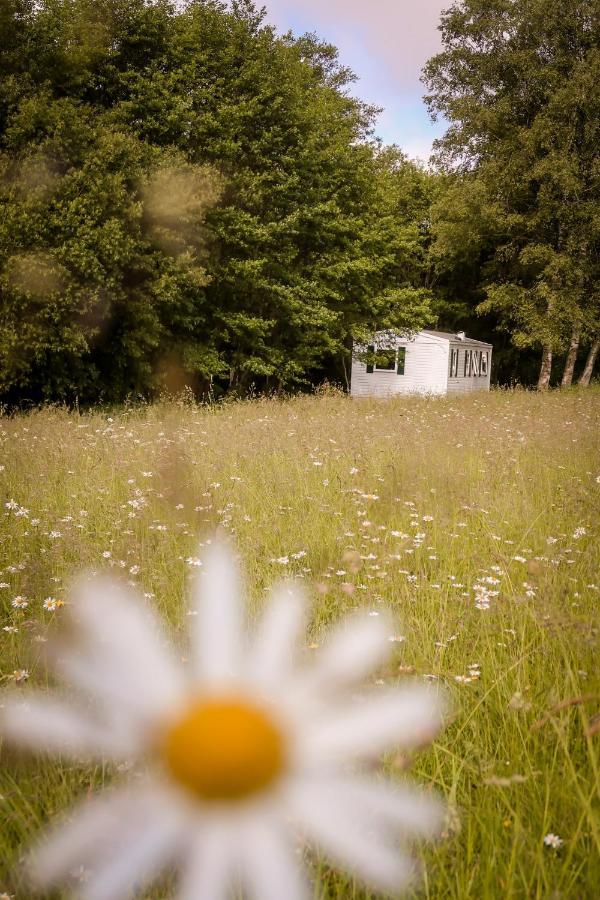 Mini-Glamping En Auvergne Villa Sainte-Christine  Bagian luar foto